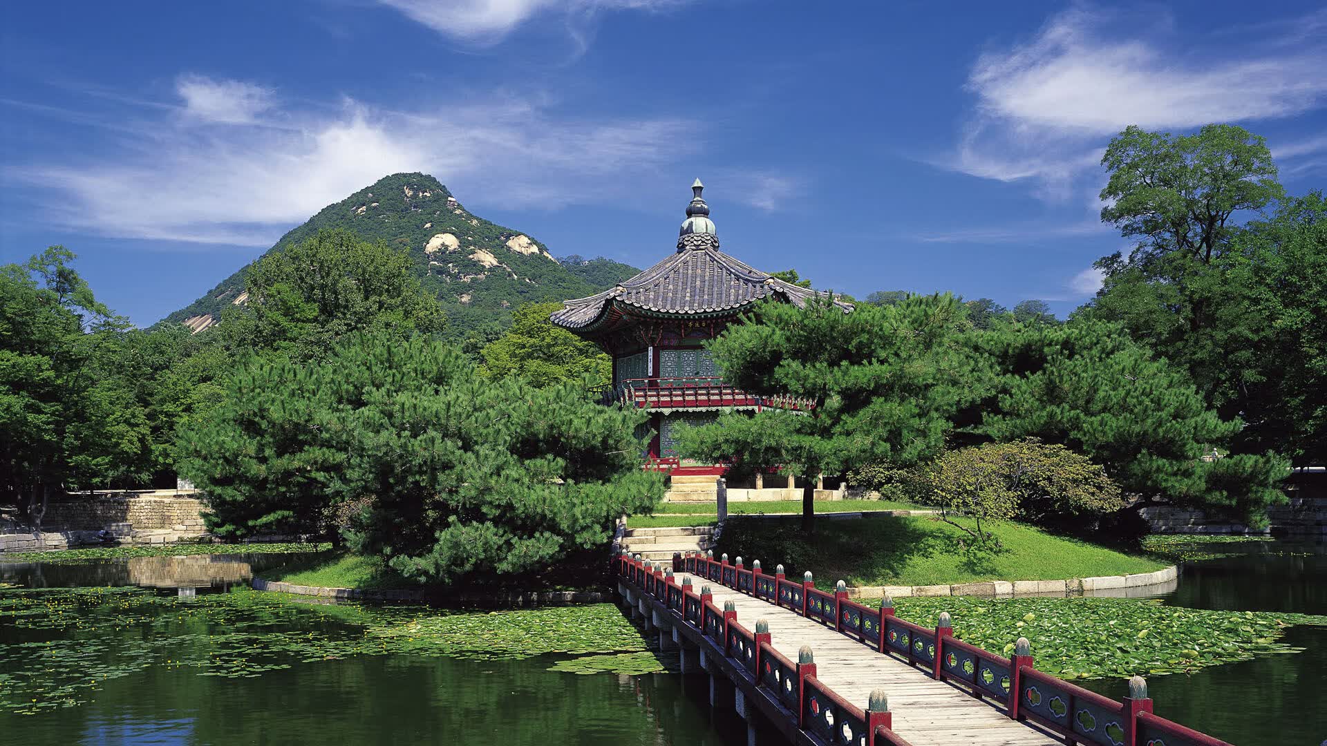 世界登山青年导师国际挂职交流回访报告公布,登山专家